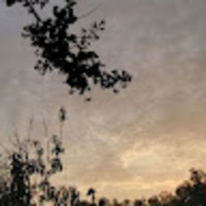 Meet your Posher, Robin